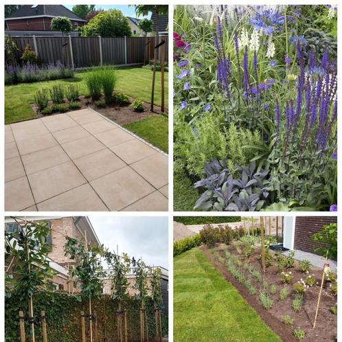 Hovenier, Diensten en Vakmensen, Tuinmannen en Stratenmakers, Hekwerk of Schuttingen, Tuin- of Vijveraanleg, Tuinonderhoud of Snoeiwerk