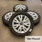 Golf 8 Nexen Winguard Sport 2 205/55/R16 91H, Auto-onderdelen, Banden en Velgen, Gebruikt, 16 inch, Banden en Velgen, Personenwagen