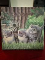 3D schilderij met 4 katten / kittens erop : 29 x 29 cm, Minder dan 50 cm, Ophalen of Verzenden, Zo goed als nieuw, Schilderij