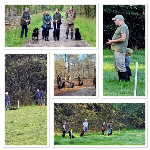 Honden begeleiding of Honden training, Diensten en Vakmensen, Dieren | Honden | Verzorging, Oppas en Les