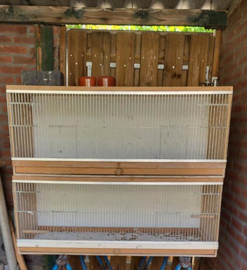 Broedkooien te koop, Dieren en Toebehoren, Vogels | Hokken en Kooien, Broedkooi of Kweekkooi, Kunststof, Ophalen