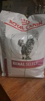 Royal Canin Renal Select Kattenvoer, Dieren en Toebehoren, Ophalen, Kat