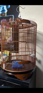 Schama lijster kooi nieuw 125 euro, Dieren en Toebehoren, Meerdere dieren