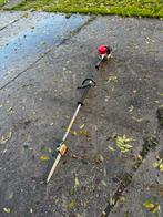 Robin stokzaag, Ophalen, Blabla, Overige soorten, Robin