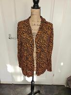 mooie blouse maat xl   (Z11, Ophalen of Verzenden, Zo goed als nieuw, Maat 46/48 (XL) of groter, Blauw