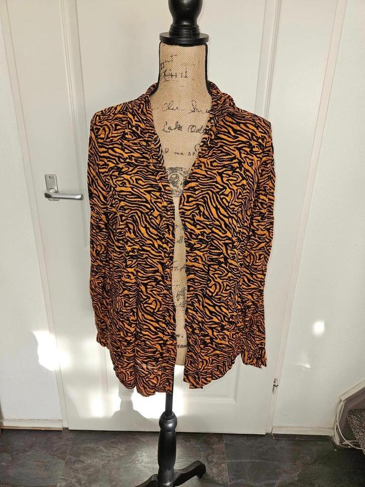 mooie blouse maat xl   (Z11, Kleding | Dames, Blouses en Tunieken, Zo goed als nieuw, Maat 46/48 (XL) of groter, Blauw, Ophalen of Verzenden