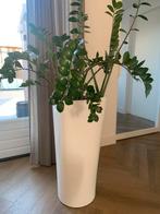 2 Witte Lechuza Plantenbakken - Binnen, Ophalen, Kunststof, 40 cm of meer, Rond