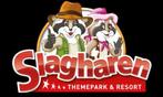 3 vouchers voor GOUD abonnement Slagharen, Tickets en Kaartjes, Drie personen of meer, Overige soorten, Pretpark