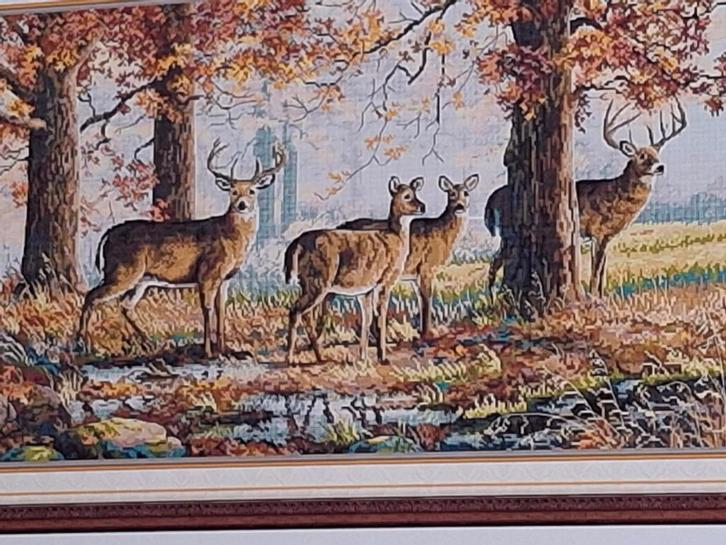 Compleet Borduurpakket - Herten in het Bos, Hobby en Vrije tijd, Borduren en Borduurmachines, Nieuw, Borduurpakket, Handborduren