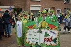 Loopgroep padden en zeebra, Ophalen, Zo goed als nieuw, Carnaval