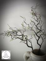 kunst corylus contorta - kronkel hazelaar, Ophalen of Verzenden, Nieuw