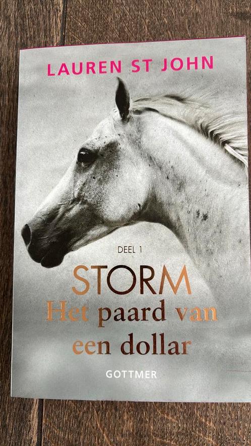 Lauren St John - Het paard van een dollar, Boeken, Kinderboeken | Jeugd | 10 tot 12 jaar, Zo goed als nieuw, Ophalen