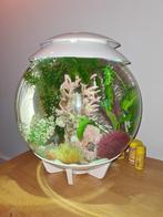 Biorb Halo 30 liter aquarium wit, Dieren en Toebehoren, Vissen | Aquaria en Toebehoren, Ophalen, Gebruikt, Leeg aquarium