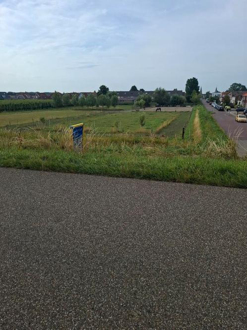 Plek vrij op p.p. de "weide", Dieren en Toebehoren, Stalling en Weidegang