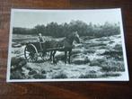 X30 - Veluwe - Paard en wagen - Mooi/Oud, Verzenden, Gelderland