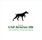 Duitse Staande Herplaatsing, Duitse Staande hond, Rabiës (hondsdolheid), Handelaar, Buitenland