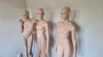 Etalage of paspoppen, 3 knappe zusjes 
 beschikbaar voor biedingen