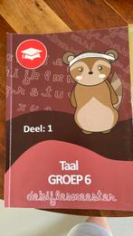 De Bijlesmeester - deel 1 groep 6 Redactie en Taal, Boeken, Ophalen of Verzenden, Zo goed als nieuw, Nederlands, De Bijlesmeester