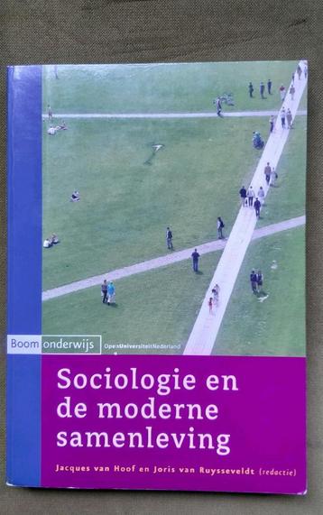 Sociologie en de moderne samenleving beschikbaar voor biedingen