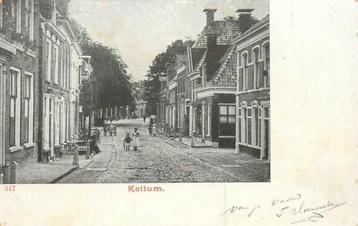 (380-732-001) Kollum beschikbaar voor biedingen