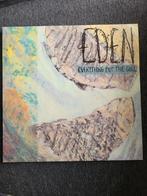 LP vinyl. Eden - Everything but the girl, Ophalen of Verzenden, 12 inch