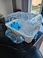 Hamsterkooi met accesories., Dieren en Toebehoren, Knaagdieren en Konijnen | Hokken en Kooien, Kooi, Minder dan 75 cm, Zo goed als nieuw