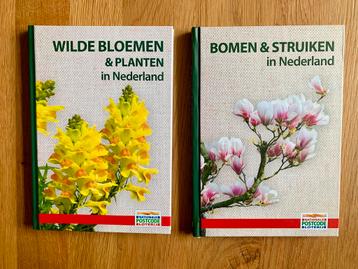 Bomen en struiken en wilde bloemen en planten beschikbaar voor biedingen