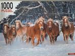 Puzzel 1000 stukjes, Ophalen of Verzenden, 500 t/m 1500 stukjes, Zo goed als nieuw