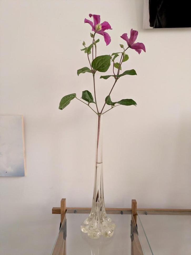 Vintage mooie geblazen soliflore vaas met organische vorm, Huis en Inrichting, Woonaccessoires | Vazen, Overige kleuren, Minder dan 50 cm