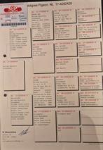 Duivin Willem Buurstra, Vrouwelijk, Postduif