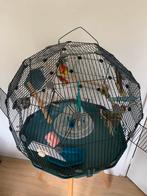 GEO VOGELKOOI voor parkieten, vinken en kanaries, Dieren en Toebehoren, Vogels | Hokken en Kooien, Ophalen, Gebruikt, Kunststof