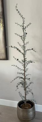 Kerstboompje met led lampjes!, Ophalen, Zo goed als nieuw