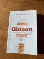 Gideon door Priscilla Shirer., Boeken, Gelezen, Christendom | Protestants, Ophalen of Verzenden, Priscilla Shirer
