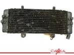 RADIATEUR CBR 600 F 1987-1990 (CBR600F CBR600F1 PC19 / 23), Gebruikt