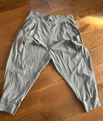 Elsewhere broek maat xxl muisgrijs travelstof, Kleding | Dames, Grote Maten, Ophalen of Verzenden, Zo goed als nieuw, Blouse of Tuniek
