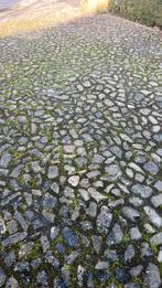 Kinderkoppen Veldkeien Kasseien, Tuin en Terras, Ophalen, Gebruikt, Wit, Kei