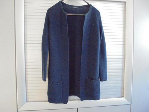 Lang vest Nick Jansen maat 40, Kleding | Dames, Truien en Vesten, Zo goed als nieuw, Maat 38/40 (M), Blauw, Ophalen of Verzenden