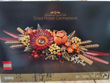 LEGO Icons Gedroogde Bloemen 10314 - Nieuw! beschikbaar voor biedingen