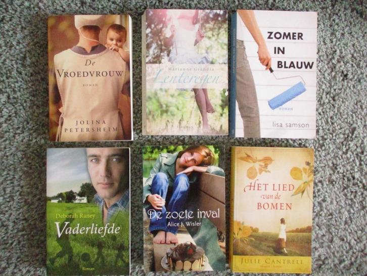 Deborah Raney, De vroedvrouw 6 x christelijke romans, Boeken, Romans, Gelezen, Nederland, Ophalen of Verzenden