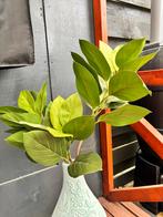 Mooie Kunstplant voor Binnen & Buiten, Ophalen of Verzenden, Zo goed als nieuw, Binnen