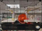 Super gave hamsterkooi ferplast village 80, Dieren en Toebehoren, Knaagdieren en Konijnen | Hokken en Kooien, Ophalen of Verzenden