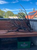 Talawa hout groot, Ophalen, Nieuw, Plant(en), Steen of Hout