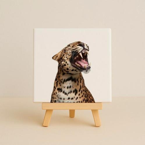 Wandtegeltje grrrrr, Huis en Inrichting, Woonaccessoires | Wanddecoraties, Zo goed als nieuw, Ophalen of Verzenden
