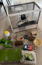 Hamsterkooi, Dieren en Toebehoren, Minder dan 60 cm, Kooi, Minder dan 75 cm, Ophalen of Verzenden