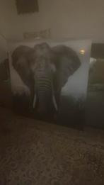 Glasplaat met olifant, Huis en Inrichting, Woonaccessoires | Lijsten, Overige materialen, Ophalen of Verzenden, Zo goed als nieuw