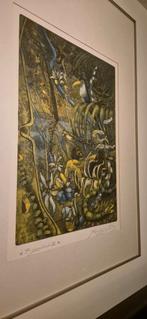 Originele Regenwoud II door Bob Lows, Antiek en Kunst, Kunst | Etsen en Gravures, Ophalen