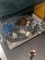 Honden bench 106 x 69 x 77, Dieren en Toebehoren, Ophalen, Zo goed als nieuw, 75 tot 110 cm, 65 tot 100 cm