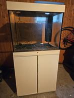 Aquarium Juwel Lido 200 LED met kast te koop, Dieren en Toebehoren, Vissen | Aquaria en Toebehoren, Ophalen, Gebruikt, Leeg aquarium