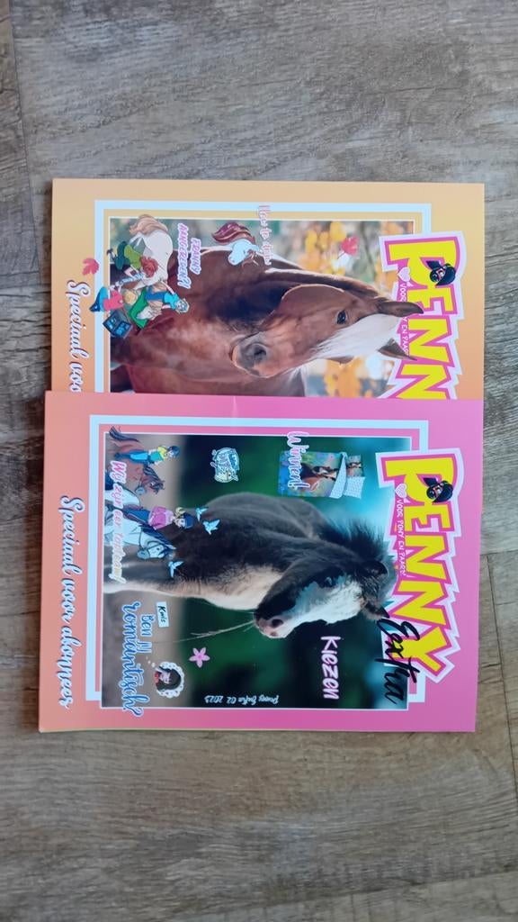 Penny tijdschriften en zomerboek - paardenplezier!, Ophalen of Verzenden, Gelezen, Damesbladen