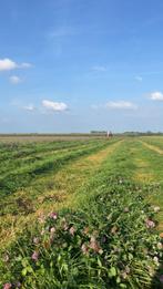 Midibalen met rode klaver, Dieren en Toebehoren, Stalling en Weidegang